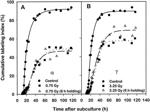 Fig. 4. Cumulative labeling index as a function of time after release from the confluent state of GM06419 cells that were either non-irradiated (——), irradiated (· · · · ·), or irradiated and held in confluence at 37°C for 6 h(- - - - -). A, α-particle irradiated; B, γ-irradiated.