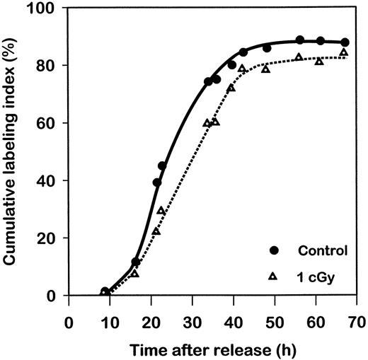 Fig. 7. Cumulative labeling index as a function of time after release from the confluent state of nonexposed or α-particle-exposed(mean dose, 1 cGy) GM06419 cells.