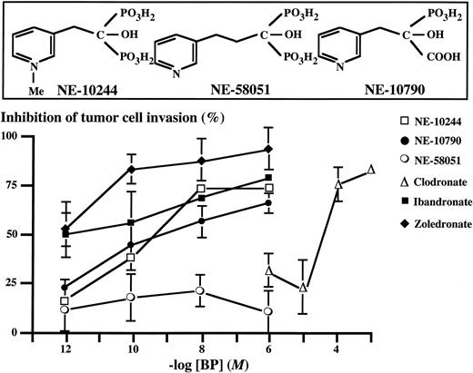 Fig. 1. BPs inhibit MDA-MB-231 breast carcinoma cell invasion. MDA-MB-231 cells were treated with increasing concentrations of BPs in complete culture medium for 24 h, harvested with trypsin-EDTA,washed in serum-free medium, and seeded to culture inserts containing 8μm pore size filters coated previously with Matrigel (upper chamber). FCS, used as a chemoattractant, was placed in the lower chamber. After a 48-h incubation at 37°C, untreated and BP-treated invading cells were fixed, stained, and counted microscopically. The number of untreated invading cells was 300–500 cells/mm2. Data points, means of three separate experiments with zoledronate (♦), ibandronate (▪), NE-10244 (□), NE-58051 (○),NE-10790 (•), and clodronate (▵); bars, SE. Inset, structures of the antiresorptive active(NE-10244), inactive (NE-58051), and phosphonocarboxylate (NE-10790)analogues of risedronate.