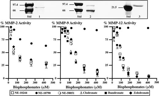 Fig. 3. BPs inhibit the proteolytic activity of MMP-2, -9, and-12. Increasing concentrations of BPs were preincubated with active forms of MMPs. MMP activities were measured by proteolytic cleavage of the fluorogenic peptide substrate Mca-Pro-Leu-Gly-Leu-Dnp-Ala-Arg-NH2. After addition of the fluorogenic peptide substrate in the preincubation mixture, the increase in fluorescence corresponding to the release of Mca was measured. The fluorescence obtained with MMPs that were not preincubated with BPs was used as a positive control and was set at 100%. Results obtained in the presence of BPs were then expressed as a percentage of each positive control. Inset, Coomassie blue staining of purified pro-MMP2 (Lane 1), MMP-9(Lane 2), and MMP-12 (Lane 3)electrophoresed on a 12% SDS-polyacrylamide gel. Std,molecular mass standards (kDa).
