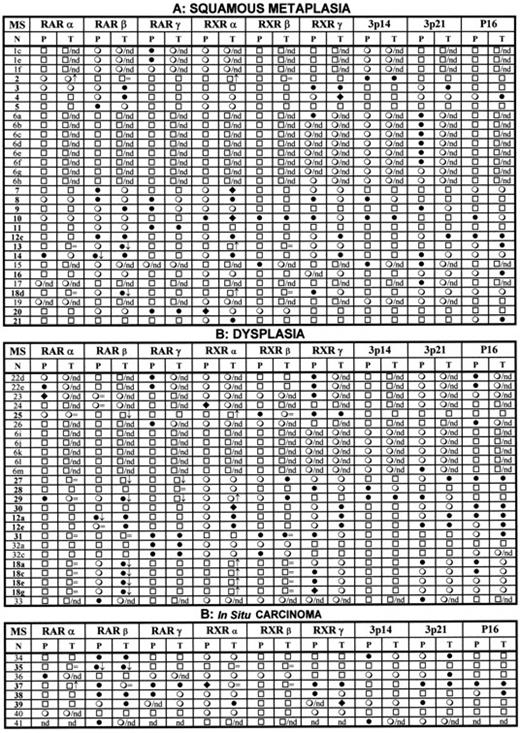 Study results; panel A for squamous metaplasia; panel B for dysplasia + ISC with paired lung tumors (T); panel C for smokers and never smokers (bronchial epithelium)a