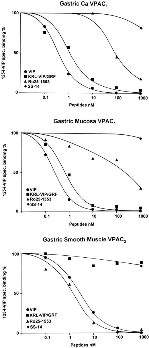Fig. 4. Competition curves showing VPAC1 in human gastric carcinoma (top graph) and gastric mucosa(middle graph) and VPAC2 in gastric smooth muscle (bottom graph). Top and middle graphs show high affinity displacement of 125I-VIP by KRL-VIP/GRF but not by RO 25-1553. Somatostatin(SS-14) is inactive. Bottom graph shows high affinity displacement of 125I-VIP by RO 25-1553 but not by KRL-VIP/GRF. Somatostatin (SS-14) is inactive.
