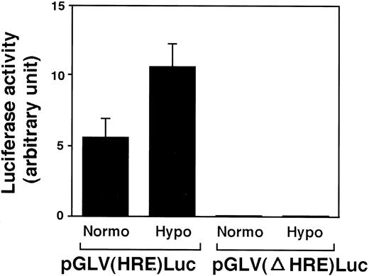 Fig. 3. Functional analysis of the mouse VEGFpromoter in A11 cells. Luciferase activities were obtained from A11 cells that were transiently transfected with VEGFpromoter-luciferase constructs. pGLV(HRE)Luc or pGLV(ΔHRE)Luc is the construct in which the VEGF promoter with or without the HRE site is fused to the luciferase gene, respectively. A11 cells were exposed to normoxia or hypoxia for 18 h. All luciferase activities were normalized for transfection efficiency, and background luciferase activities obtained from A11 cells transfected with a promoterless luciferase gene pGL2-basic were subtracted from this value. Luciferase activity is expressed in arbitrary units.