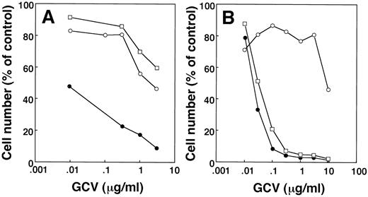 Fig. 4. Sensitivity of A11 cells to GCV. A,A11(HRE) (○), A11(HRE/TK) (•), and A11(ΔHRE/TK) (□) cells were cultured with various concentrations of GCV for 5 days. B, VE8 (○), TK17 (•), and TK18 cells (□) were cultured with various concentrations of GCV for 5 days.