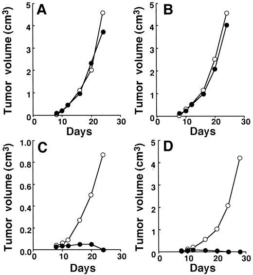 Fig. 8. Effect of GCV on the growth of tumors formed by A11 cells. Parent A11 (A), VE8 (B),TK17(C), and TK18 cells (D) were s.c. injected into groups of eight C57BL/6 mice on day 0, and from day 10,GCV (30 mg/kg) diluted in DPBS was given daily at 8-h intervals i.p. for 5 consecutive days. DPBS alone was injected into control mice. DPBS, ○; GCV, •. Values are the means for tumor masses in eight mice.