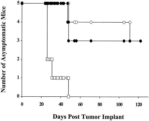 Fig. 5. Antitumor activity of SGN-14 in IM-9 multiple myeloma xenografted SCID mice. Groups of mice (five/group) were injected through the tail vein with 1 × 106 IM-9 cells and were either left untreated (□) or received 1 mg/kg/injection of SGN-14 starting 1 (○) or 5 (•) days after tumor inoculation. mAb was administered i.p. every 4 days for five injections.