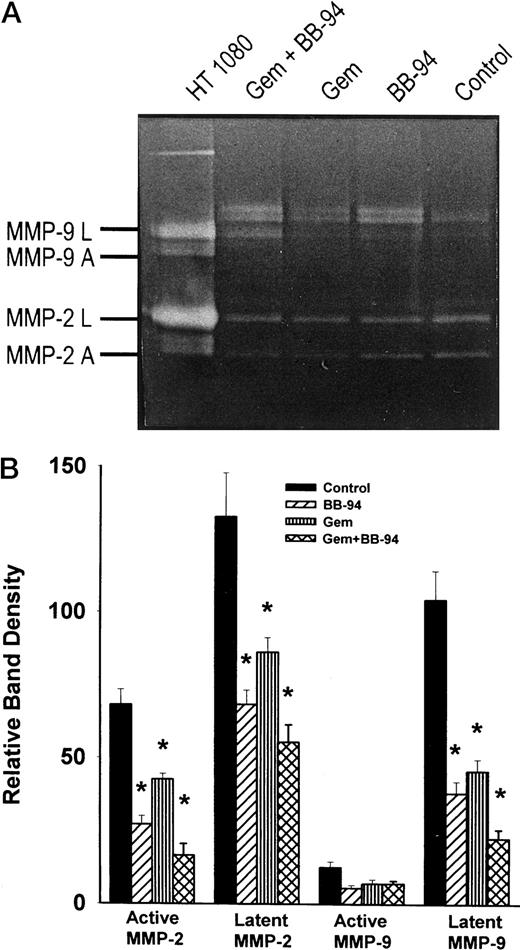 Fig. 4. A, representative zymogram demonstrating inhibition of MMP production. Active and latent forms of MMP-2(Mr 66,000 and Mr72,000) and MMP-9 (Mr 86,000 and Mr 92,000) were identified by comparison with the known gelatinolytic activities of HT-1080 cells. There was a reduction in active and latent MMP-2 in all treated groups, with the greatest reduction occurring in the group treated with combination therapy. Baseline pancreatic tissue MMP levels are low in quantity compared with pancreatic cancer (data not shown). B,active and latent MMP-2 and MMP-9 levels in tumors (expressed as relative band density). There were significant reductions in active and latent MMP-2 levels in the tumors of mice in all treatment groups compared with mice in the control group (P< 0.05, ANOVA). The results are the mean ± SD of five experiments with five tumor samples from each group.