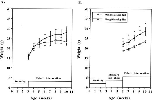 Fig. 1. Average body weights of animal groups as a function of age. A, in study 1, mice (n= 7 in each group) were randomized to receive the amino-acid-defined diet containing either 0 or 8 mg folate/kg diet for 8 weeks starting at 3 weeks of age (i.e., before the establishment of neoplastic foci). B, in study 2, mice(n = 7 and 10, respectively) were randomized to receive the amino-acid-defined diet containing either 0 or 8 mg folate/kg diet for 5 weeks starting at 6 weeks of age(i.e., after the establishment of neoplastic foci). ∗, P < 0.03 compared with the 0 mg folate/kg group at each time point.