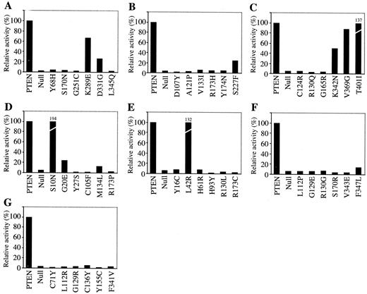 Fig. 2. Phosphatase activity of PTEN against Ins(1,3,4,5)P4. One μg of (His)6-PTEN protein was assayed for phosphoinositol phosphatase activity against[3H]Ins(1,3,4,5)P4 as described in“Materials and Methods.” The radioactivity of the dephosphorylated product was counted, and the results were normalized to wild-type PTEN(100%). The 42 PTEN mutants were divided into seven groups(A−G) for protein extraction and phosphatase assay. The data are representative of three independent experiments that yielded similar results.