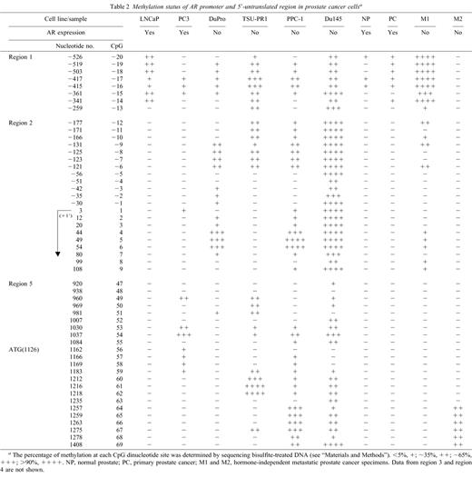 Methylation status of AR promoter and 5′-untranslated region in prostate cancer cellsa