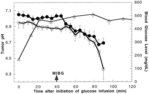 Fig. 2. The pH profile of human melanoma xenografts (≤ 8 mm, n = 7) in response to hyperglycemia and MIBG (30 mg/kg i.p.). •, pHi; ○, pHe. The profile of blood glucose levels (Δ) during i.v. infusion of glucose without MIBG was obtained from weight- and age-matched cohorts(n = 9), which were not used in MR experiments. Separate experiments (data not shown) indicated that administration of MIBG during glucose infusion (i.e.,under hyperglycemic condition) did not modify blood glucose levels. Data are presented as mean ± SEM.