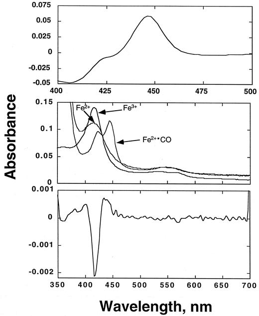 Fig. 2. Spectrophotometric analysis of purified, recombinant wild-type CYP1B1 showing CO-reduced difference spectrum(top), absolute near UV-visible spectra(middle), and derivative spectrum (bottompanel). The variant CYP1B1 proteins yielded similar spectra.