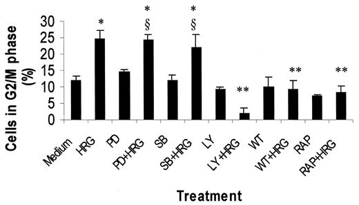 Fig. 9. Effect of blocking the MAP kinase and PI3-K signaling pathways on heregulin-induced cell cycle G2-M-phase arrest. Cells were pretreated overnight with either PD98059 (50μ m), SB203580 (2 μm), LY294002 (10μ m), wortmannin (2 μm), or rapamycin (55μ m). Cells were then washed and treated with heregulin for 24 h, and cell cycle distribution was analyzed by flow cytometry as described in “Materials and Methods.” ∗, P = 0.0015 compared with untreated group;∗∗, P < 0.05 compared with HRG-treated group; §, P > 0.05 compared with HRG-treated group.