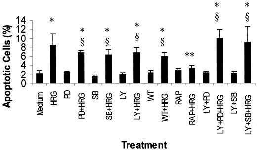 Fig. F10-9767. Effect of blocking the PI3-K and MAP kinase signaling pathways on heregulin-induced apoptosis. Cells were pretreated overnight with PD98059 (50 μm), SB203580 (2μ m), LY294002 (10 μm), wortmannin (2μ m), LY294002 (10 μm) plus PD98059 (50μ m), LY294002 (10 μm) plus SB203580 (2μ m), or rapamycin (55 μm). Cells were then washed and treated with heregulin for 72 h. Both floating and attached cells were collected and subjected to flow cytometric analysis. Sub-G1 fractions representing the apoptotic cell population were determined based on relative DNA content. ∗, P < 0.005 compared with medium-treated control. ∗∗, P = 0.04 compared with HRG-treated group (n = 4); §, P > 0.05 compared with HRG-treated group.