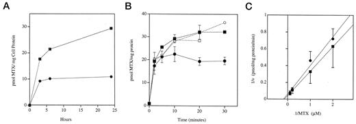 Fig. 2. Accumulation of MTX into MCF7/WT and MCF7/MX cells. A, time course for the steady-state accumulation of[3H]MTX by MCF7/WT (▪) and MCF7/MX (•) cells. Total MTX accumulation was measured at 0, 3, 6, and 24 h as described in“Materials and Methods.” B, time course for the short-term accumulation of [3H] MTX by MCF7/WT (▪, □)and MCF7/MX (•, ○) cells in the presence (▪, •) and after depletion (□, ○) of ATP. Accumulation of total MTX was measured at 0, 2, 5, 10, 20, and 30 min as described in “Materials and Methods.” C, an inverse reciprocal plot of a 2-min MTX uptake over a concentration range of 0.5 to 10 μm in MCF7/WT (▪) and MCF7/MX (•) cells. The graph indicates the mean ± SE of three experiments performed in triplicate. The diagonal lines represent the linear regressions across the data points.