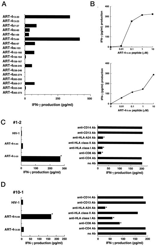 Fig. 4. Identification of epitopes recognized by the CTLs. A, determination of the antigenic peptides derived from the ART-4 protein. Each of the 18 different peptides was loaded onto COS7 cells transfected with HLA-A2402. The GK-CTLs were added to the peptide-loaded cells and incubated for 18 h, and the culture supernatant was harvested to measure IFN-γ production by ELISA (limit of sensitivity, 10 pg/ml) in triplicate assays. Values represent the means of triplicate assays. The background of IFN-γproduction by the GK-CTLs in response to each peptide loaded onto COS7 cells transfected with HLA-A2601 was subtracted from the values. B, dose dependency of the ART-4 peptides. Indicated doses of the peptides were loaded onto COS7 cells transfected with HLA-A2402 or control HLA-A2601 cDNA,and then the ability of the peptides to stimulate IFN-γ production by the GK-CTLs was tested. Values represent the means of triplicate assays. The background of IFN-γ production (50 pg/ml) by the GK-CTLs in response to the HLA-A2601 transfectants was subtracted from the values. C and D,peptide specificity of the GK-CTL sublines. Sublines were established from the parental GK-CTL line by a limiting dilution culture, and the 68 different sublines with CD3+CD4−CD8+ phenotype were tested for their reactivity to C1R-A2402 cells pulsed with ART-413–20, ART475–84, or HIV-derived peptide as a negative control at a responder/stimulator ratio of five in triplicate assays. Seven and six sublines showed the reactivity to ART-413–20 and ART-475–84 peptide,respectively. IFN-γ production by the sublines in response to 11-18 tumor cells at a responder:stimulator ratio of 4 was tested in the presence of 10 μg/ml of anti-HLA-class I (IgG1), anti-HLA-A24 (IgG1),anti-HLA-class II (IgG2a), anti-CD4 (IgG1), or anti-CD8 (IgG2a) mAb. Anti-CD13 (IgG1) and anti-CD14 (IgG2a) mAbs were used as isotype matched controls. Values represent the mean IFN-γ levels of triplicate assays. ∗, values differed significantly from the controls with P < 0.01 by the two-tailed Student’s t test. Representative results of each of sublines #1-2 and #10-1 are shown in C and D, respectively. The other sublines failed to respond to any peptides tested.