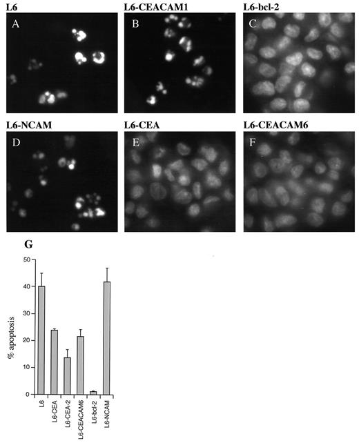 Human Carcinoembryonic Antigen Functions as a General Inhibitor of