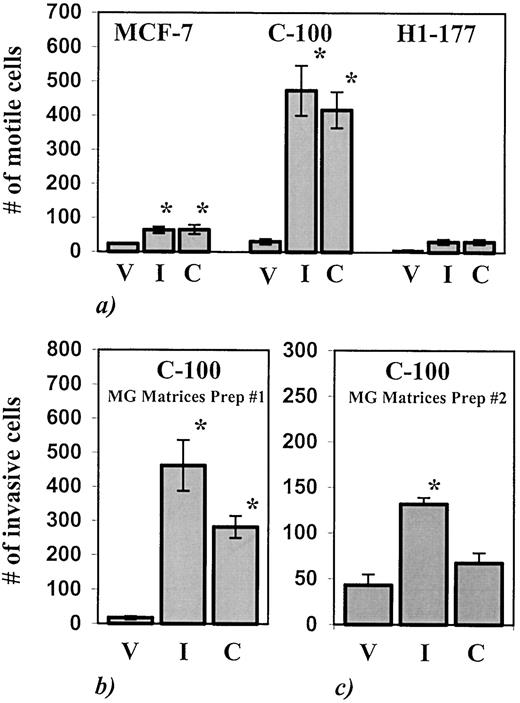 Fig. 1. Cell migration of low motility MCF-7 cells, highly motile C-100 cells, and H1-177 cells (MDA-MB-435 cells transfected with nm23) on modified Boyden chamber filters coated with 10μg/ml matrix. a: Lane V,nulliparous MG matrix; Lane I, combined 2–4-day postlactation involution MG matrix; Lane C, control EHS tumor matrix. Cells were plated in the upper wells of modified Boyden chambers using 0.5% FBS as a chemoattractant in the lower wells. Cell motility was measured as a function of the number of cells that transversed from the upper chamber to lower chamber within 24 h for MCF-7 and H1-177 cells and within 4 h for C-100 cells. Data are expressed as the mean ± SE. C-100 cell motility on involution and EHS matrix statistically different than motility on nulliparous matrix, ∗, P < 0.02, two-tailed t test. b, cell invasion of C-100 cells on filters with pores occluded with 200 μg/ml matrix. Lane V, nulliparous MG matrix; Lane I, combined 2–4-day postlactation matrix; Lane C, EHS tumor matrix. Cell invasion was measured as a function of the number of cells that transversed from the upper chamber to the lower chamber within 24 h. Data are expressed as the mean ± SE. C-100 invasion on involution and EHS matrix statistically different than invasion on nulliparous matrix, ∗, P < 0.01, two-tailed ttest. c, repeat of invasion assay described in b using a different preparation of rat matrices but same EHS matrix batch, demonstrating interassay variation. C-100 cell invasion on involution matrix statistically different than invasion on nulliparous matrix, ∗, P < 0.02, two-tailed t test. Experimental conditions were performed in triplicate, and each experiment was performed in duplicate;representative data are shown.