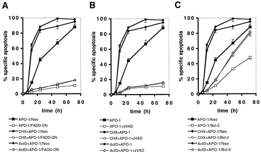 Fig. 1. Sensitization to anti-APO-1-induced apoptosis by CHX or ActD. SHEP neuroblastoma cells transfected with vector control(closed symbols), FADD-DN (A, open symbols), vector control cells in the presence of 50μ m zVAD.fmk (B, open symbols,) or cells transfected with Bcl-2 (C, open symbols) were treated for the indicated periods with 1 μg/ml anti-APO-1 monoclonal antibody in the absence (▪, □) or presence (•, ○) of 1 μg/ml CHX or 0.1 μg/ml ActD (♦, ⋄). Apoptosis was determined by FACS analysis of propidium iodide-stained DNA content. The percentage of specific apoptosis was calculated as follows: 100 × [experimental apoptosis (%) − spontaneous apoptosis(%)/100% − spontaneous apoptosis (%)]. Spontaneous apoptosis was <1%. Data are the mean of triplicates; similar results were obtained in three separate experiments; bars,SD.