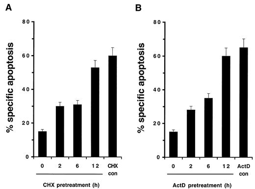Fig. 7. Enhancement of anti-APO-1-induced apoptosis by preincubation with CHX or ActD. SHEP neuroblastoma cells were either left untreated or were pretreated with 1 μg/ml CHX (A)or 0.1 μg/ml ActD (B) for the indicated periods,followed by incubation with 1 μg/ml anti-APO-1 monoclonal antibody for 12 h. For comparison, cells were treated with 1 μg/ml anti-APO-1 monoclonal antibody for 12 h in the presence of 1μg/ml CHX (A, CHXcon) or 0.1 μg/ml ActD(B, ActDcon) without pretreatment. Apoptosis was determined by FACS analysis of propidium iodide-stained DNA content as described above. Data are the means of triplicates; similar results were obtained in three separate experiments; bars, SD.