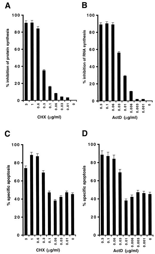 Fig. 8. Inhibition of protein or RNA synthesis by CHX or ActD. SHEP neuroblastoma cells were treated with indicated concentrations of CHX or ActD for 24 h. Protein (A) or RNA(B) synthesis was determined as described in“Materials and Methods” using [3H] leucine or 5,6-[3H]uridine. Radioactivity was quantified by scintillation counting. Results are expressed as percentage inhibition of protein or RNA synthesis as compared with untreated cells. Apoptosis after treatment with 1 μg/ml anti-APO-1 for 24 h in the presence of indicated concentrations of CHX (C) or ActD(D) was determined by FACS analysis of propidium iodide-stained DNA content as described above. Data are the means of triplicates; similar results were obtained in three separate experiments; bars, SD.