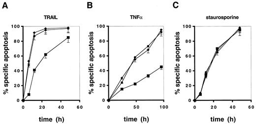 Fig. 9. Sensitization to TRAIL-induced or TNF-α-induced,but not to staurosporine-induced, apoptosis by CHX or ActD. SHEP neuroblastoma cells were treated for the indicated periods with 10 ng/ml TRAIL monoclonal antibody (A), 30 ng/ml TNF-α (B), or 1 μm staurosporine(C) in the absence (▪) or presence (•) of 1 μg/ml CHX or 0.1 μg/ml ActD (♦). Apoptosis was determined by FACS analysis of propidium iodide-stained DNA content as described above. Data are the means of triplicates; similar results were obtained in three separate experiments; bars, SD.