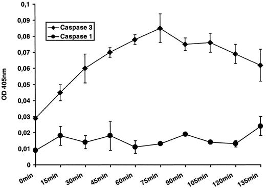Fig. 5. Caspase-1- and caspase-3-like activity from cytosol of DC-treated HT-29 cells. Cytosolic extracts from DC-treated HT-29 cells cleaved a specific substrate for caspase-3-like caspases (Ac-DEVD-pNA)in a colorimetric assay, supporting our finding of DC-mediated activation of this caspase. Caspase-1-like activity could not be detected with the caspase-1-like caspase substrate Ac-YVAD-pNA. Bars, SD.