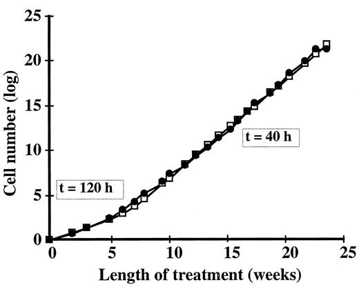 Fig. 1. Growth of MVLN cells during long-term OHT treatment. MVLN cells were seeded in a T25 flask and grown in DCC medium with 10−7 m OHT for 25 weeks. As soon as cells reached confluence, one-tenth of them were plated in a new T25 flask. Cell number was determined on the basis of the dilution at each passage. The logarithm of this cell number was plotted against the number of treatment weeks (filled symbols). Cell doubling time was then graphically determined. A theoretical model was constructed, which simulates variations in growth rates of a population of cells in which three cells/106/day raise their growth rate instantaneously from 120- to 40-h doubling time (open symbols).