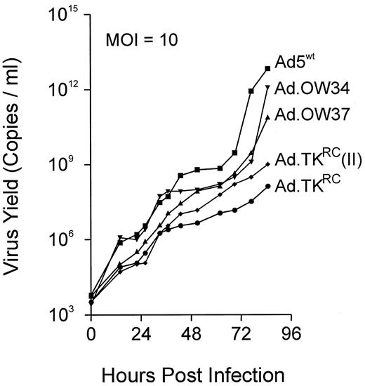 Fig. 3. Replication kinetics of the HSV-tk-expressing vectors and Ad5wt on HeLa cells. Monolayers of HeLa cells were infected with the viruses at a MOI of 10 pfu/cell. At various time points after infection, an aliquot of supernatant was taken and assayed by qPCR for adenoviral sequences.