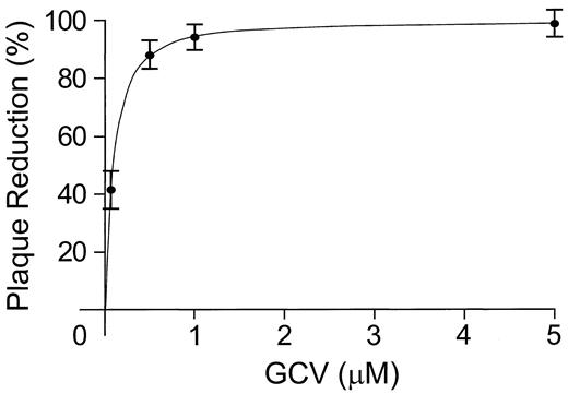 Fig. 4. The susceptibility of Ad.OW34 to GCV was assessed with a plaque reduction assay. GCV had no effect on the replication of Ad5wt at concentrations up to 5 μm (data not shown).