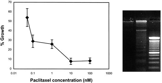 Fig. 1. Effect of paclitaxel on LNCaP cell growth in vitro. Cells were plated at 3000 cells/well in a 96-well plate. After 24 h, cells were treated with paclitaxel at various concentrations. After 7 days, cells were fixed in 1% glutaraldehyde and stained with 0.5% crystal violet. Absorbance of each well was measured at 560 nm. The percentage of growth is expressed as a percentage of control (no drug) cell growth. Inset, DNA fragmentation analysis. LNCaP cells were incubated with either paclitaxel at 100 nm or no drug for 18 h. DNA was extracted as described in “Materials and Methods.” The fragmented DNA was precipitated with sodium chloride and alcohol, analyzed using a 2% agarose gel, and visualized using ethidium bromide staining and UV illumination. Left lane, control cells; middle lane, paclitaxel (100 nm)-treated cells; right lane, DNA marker. The white bandingin the middle lane indicates fragmented DNA from cells undergoing apoptosis.