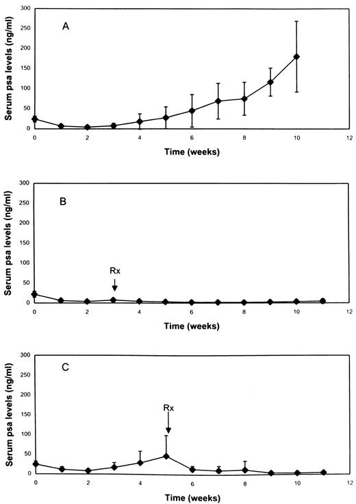 Fig. 3. PSA levels in (A) control mice(n = 7), (B) early-phase treatment mice (n = 7), and(C) late-phase treatment mice(n = 5). To establish s.c. tumors,2 × 106 LNCaP cells were injected via 27-gauge needle into the s.c. space of the flank region. When serum PSA levels were 22–24 ng/ml, all mice were anesthetized using methoxyfluorane and castrated via abdominal approach. Mice were then randomly divided into three groups: (a) a control group treated with control paste (no drug; A);(b) an early-phase treatment group treated 3 weeks after castration, when serum PSA levels were still at nadir levels(B); and (c) a late-phase treatment(androgen-independent) group treated >6 weeks after castration, when serum PSA levels had increased above precastration levels(C). Mice in the control and early- and late-phase treatment groups were treated with a single intratumoral injection of 100 μl of control paste or 10% paclitaxel-loaded paste. Serum PSA levels were measured once a week.