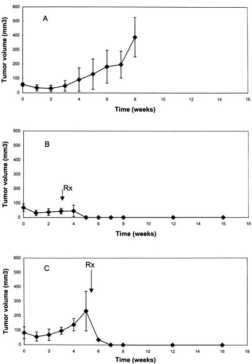 Fig. 4. Tumor volumes in (A) control mice(n = 7), (B) early-phase treatment mice (n = 7), and(C) late-phase treatment mice(n = 5). To establish s.c. tumors,2 × 106 LNCaP cells were injected via 27-gauge needle into the s.c. space of the flank region. When LNCaP tumor volume reached 100–200 mm3 (and serum PSA levels were 22–24 ng/ml), all mice were anesthetized using methoxyfluorane and castrated via abdominal approach. Mice were then randomly divided into three groups: (a) a control group treated with control paste (no drug; A); (b) an early-phase treatment group treated 3 weeks after castration, when serum PSA levels were still at nadir levels (B); and(c) a late-phase treatment (androgen-independent) group treated >6 weeks after castration, when serum PSA levels had increased above precastration levels (C). Mice in the control and early- and late-phase treatment groups were treated with a single intratumoral injection of 100 μl of control paste or 10%paclitaxel-loaded paste. Tumor volume was measured once a week. Data points for both sets of experiments were expressed as average tumor volumes ± SEs of the mean, based on at least five determinations. Tumors were measured twice a week using calipers, and their volumes were calculated by the following formula:length × width × height × 0.5236.