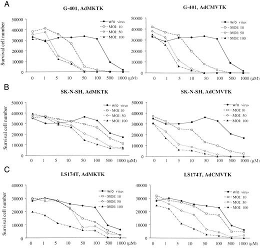 Fig. 2. GCV sensitivity of tumor cell lines transduced with AdMKTK or AdCMVTK at four different MOIs. The tumor cells were infected with AdMKTK or AdCMVTK at MOIs of 0, 10, 50, and 100. GCV was applied at concentrations ranging from 0 to 1000 μm, and 5 days later the number of surviving cells was determined by MTT assay.