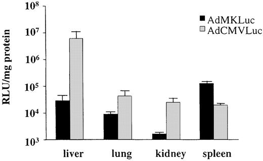 Fig. 3. Tissue specificity of the MK promoter in adenoviral context. Mice received 1 × 109 pfu of AdMKLuc or AdCMVLuc via tail vein injection (six per group). Two days after virus injection, mice were sacrificed to obtain the organ samples. The means of luciferase expression after AdMKLuc administration are 2.9 × 104 RLU/mg protein in liver, 9.0 × 103 RLU/mg protein in lung,1.7 × 103 RLU/mg protein in kidney, and 1.3 × 105 RLU/mg protein in spleen. On the other hand, those after AdCMVLuc administration are 5.9 × 106 RLU/mg protein in liver, 4.3 × 104 RLU/mg protein in lung, 2.4 × 104 RLU/mg protein in kidney, and 1.9 × 104 RLU/mg protein in spleen. Bars,SE.