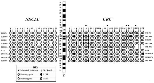 Fig. 1. Schematic representation of LOH and MIN distribution on chromosome 2 in CRC and NSCLC. Tumor numbers are shown at the top, and markers are shown to the leftand right. All microsatellite markers map between 2q11 and 2q14, including the BUBCA18 and BUBCA19 at 2q14.
