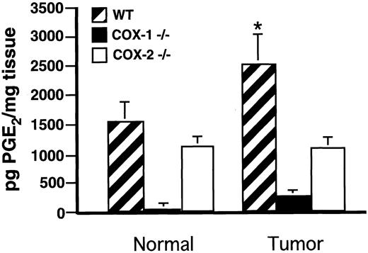 Fig. 3. Comparison of PGE2 levels in polyps and normal surrounding distal intestinal tissue from Min/+,Ptgs-1(−/−) Min/+, and Ptgs-2(−/−) Min/+ mice. Columns, the PGE2 levels (means) from polyps and normal tissue from 6-month-old mice; bars, SE. Fishers LSD test was used to determine statistical significance of normal tissue from adenomas. ∗, statistically different from normal intestinal tissue at P < 0.1.