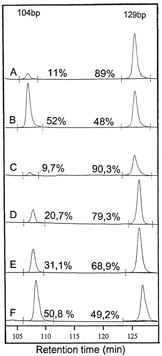 Fig. 1. neu gene fluorescence-labeled PCR fragment length analysis after MnlI digestion using an ALF DNA sequencer. The integral of the 129-bp peak represents the amount of wild-type neu, and the integral of the 104-bp peak represents the amount of the MnlI-cleaved mutant gene. A, template DNA from a BDIV rat at 80 days after exposure to EtNU. B, template DNA from a BDIX rat at 190 days after exposure to EtNU. C, template DNA from a mixture of 10% cells from the homozygously neu mutant schwannoma cell line TV1Cb (15) with 90% rat fibroblasts carrying two wild-type neu alleles. D–F, mixtures of TV1Cb cells and rat fibroblasts at a ratio of 20:80, 30:70, and 50:50, respectively.