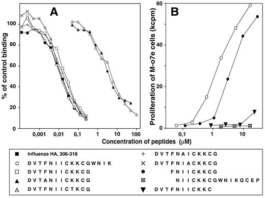 Fig. 5. Identification of the antigenic peptide. A, binding of peptides to purified HLA-DRB1*1101 molecules. Affinity-purified HLA-DR molecules were incubated with biotinylated peptide PKYVKQNTLKLAT (influenza hemagglutinin 306–318)and various concentrations of competitor peptides. The DR-peptide complexes were then transferred to microwells coated with the anti-DR monoclonal antibody L243 and incubated for 2 h. After washing, the complexes were revealed with a streptavidin-phosphatase conjugate and a fluorescent substrate. Maximal binding (2543 fluorescence units)corresponds to wells containing no competitors. Background (127 fluorescence units) corresponds to wells containing no HLA molecule. Data are representative of four independent experiments. B, recognition of peptides by the anti-EphA3 CD4 clone 37. LB33-EBV-B cells (3 × 104/well) were incubated over 2 h at 37°C with the indicated concentrations of peptides, and CD4 clone 19 was added (5000/well) in medium containing IL-2. After 24 h, medium was collected for GM-CSF measurement on the M-07e cells.