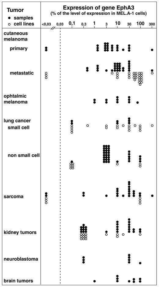 Fig. 7. Expression of EphA3 by tumor tissues. Expression was tested on RNA extracted from tumor samples or from tumor cell lines. Methodology and quantification are as indicated in Fig. 6<$REFLINK>.