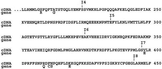 Fig. 1. Deduced amino acid sequence of CYP2A13 cDNA and differences from the published CYP2A13 gene sequence(1). The protein sequence deduced from CYP2A13 cDNA(cDNA) is shown on top and that predicted from the genomic sequence (gene) is shown below, of which only those amino acid residues differing from the cDNA-derived sequence are indicated. Amino acid residues are numbered to the right, beginning with the amino terminus. The positions of introns in the CYP2A13 gene are also indicated. Only the carboxyl terminal half of the protein is shown. The nucleotide sequence of CYP2A13 cDNA has been assigned the GenBank accession no. AF209774.