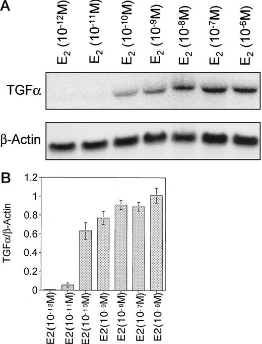 Fig. 5. Northern blot analysis of TGFα mRNA in JM-6 cells treated with E2. A, JM-6 cells grown in E2-free stripped media were treated for 24 h with increasing doses of E2. Northern blot analysis of total RNA was performed using TGFα cDNA probe as described in “Materials and Methods.” β-actin mRNA was measured to ensure even loading. Northern blot is representative of three independent experiments. B, densitometric analysis of Northern blots was analyzed by ANOVA, and E2 significantly induced TGFα in a concentration-dependent manner (P < 0.05). Bars, SD.
