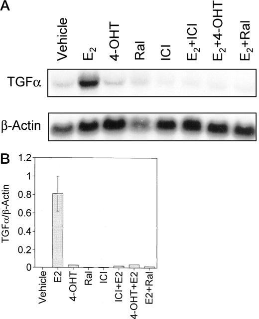 Fig. 7. Effects of the pure antiestrogen ICI 182,780 TGFα mRNA expression in combination with either E2 or antiestrogen treatment. JM-6 cells grown in E2-free stripped media were treated for 24 h with vehicle (ethanol), 10−9m E2, 10−7 m 4-OHT,10−7 m Ral, or 10−7 mICI 182,780 or combinations. β-actin mRNA was measured to ensure even loading. Northern blot (A) is representative of three independent experiments. Densitometric analysis of Northern blots(B) was analyzed by Student’s t test. The difference between control and E2 was significant(P < 0.05), and control and 4-OHT was not significant (P > 0.05). Bars, SD.