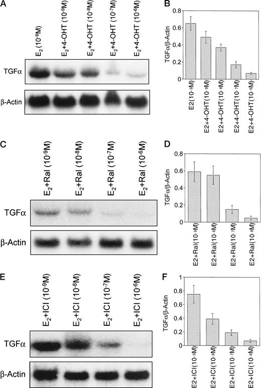 Fig. 8. Dose-responsive increase in TGFα transcript expression in JM-6 cells after treatment with 4-OHT (A), Ral(C), or ICI 182,780 (E) measured by Northern blot analysis. JM-6 cells grown in E2-free stripped media were treated for 24 h with 10−9m E2 and increasing doses of 4-OHT, Ral, or ICI 182,780. β-actin mRNA was measured to ensure even loading. Northern blot is representative of three independent experiments. Densitometric analysis of Northern blots was analyzed by ANOVA, and each antiestrogen significantly reduced TGFα in a concentration-dependent manner. B, 4-OHT; P = 0.002; bars, SD. D, Ral; P = 0.003; bars, SD. F, ICI 182,780; P < 0.05; bars, SD.