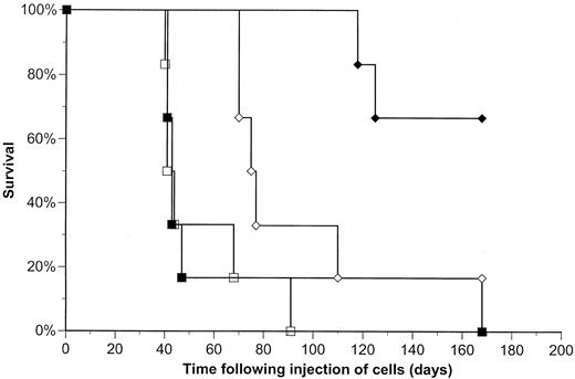 Fig. 4. Effect of Bcl-2 immediate and delayed antisense treatment in vivo on survival of LCL (Sweig)-bearing SCID mice. Animals were injected with 20,000,000 Sweig cells i.p. on day 1 and treated with Bcl-2 antisense oligodeoxynucleotide(n = 6; ♦), RV control oligodeoxynucleotide(n = 6; ▪), or saline without oligodeoxynucleotide (n = 6; □) on days 1,4, 7, 10, and 13. For delayed antisense treatment, animals(n = 6; ⋄) were injected with 20,000,000 Sweig cells i.p. on day 1 and were treated with Bcl-2 antisense oligodeoxynucleotide on days 10, 13, 16, 19, and 22. Animals were killed when they developed clinical signs of tumor. On day 168, all of the surviving animals were killed. Eleven of 12 animals in the saline and RV oligodeoxynucleotide arms died with gross tumor. In the immediate Bcl-2 antisense arm, two of six animals died with tumor, and four remained tumor-free. In the delayed Bcl-2 antisense arm, five of six animals died with tumor, and one remained tumor free.