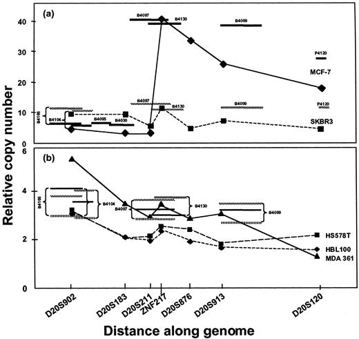 Fig. 1. QuMA and FISH analyses of human chromosome 20q copy number in breast cancer cell lines using precisely mapped BACs and SSRs(12), plus BAC clone B4104 and P1 clone P4120.5 a, QuMA measurements of relative copy number for breast cancer cell lines are shown as symbols connected by lines. MCF-7 values are shown as ♦ connected by solid lines. SKBR3 values are shown as ▪ connected by dashed lines. FISH measurements of relative copy number are shown as horizontal lines whose lengths indicate the physical extent of the BAC used as probes. MCF-7 values are shown as solid lines. SKBR3 values are shown as gray lines. These cell lines show a moderate to high level of amplification. b, QuMA measurements of relative copy number for breast cancer cell lines are shown as symbols connected by lines. HS578T values are shown as ▪ connected by long dashed lines. HBL100 values are shown as ♦ connected by short dashed lines. MDA361 values are shown as ▴ connected by solid lines. FISH measurements of relative copy number are shown as horizontal lines whose lengths indicate the physical extent of the BACs used as probes. MDA361 values are shown as solid lines. HBL100 values are shown as gray lines. HS578T values are shown as vertically hatched horizontal lines. These cell lines show normal to low-level copy number increase.