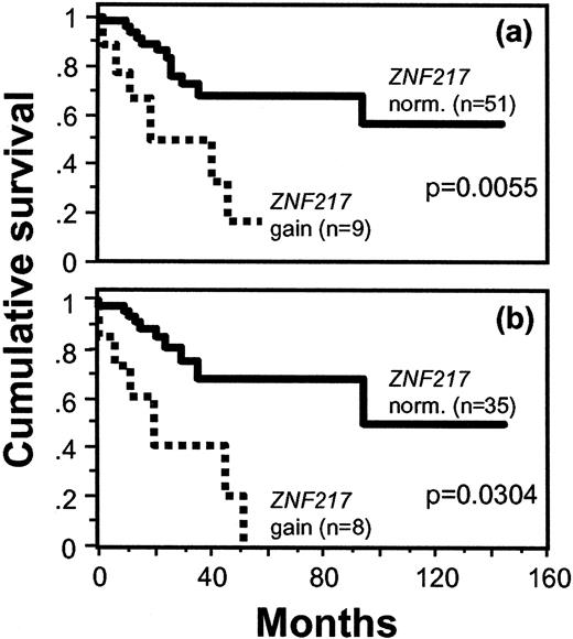 Fig. 3. Kaplan-Meier survival curves for 60 patients with and without DNA copy number gains at ZNF217 in chromosomal band 20q13.2, as detected by QuMA. a, survival of all patients with ZNF217 gains. b, survival of patients with late-stage tumors.