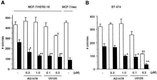 Fig. 6. AG1478 and U0126 enhance tamoxifen-mediated inhibition of tumor cell colony survival. MCF-7/HER2–18 (A) and BT-474 cells (B) were plated in a soft agarose colony-forming assay in the absence (□) or presence (▪) of 0.1μ m 4-OH tamoxifen, with or without AG1478 or U0126 at the indicated concentrations as described in “Materials and Methods.”∗, P < 0.05; ∗∗, P < 0.01, compared with 4-OH tamoxifen(+); †, P < 0.05; ††, P < 0.01, compared with 4-OH tamoxifen(−) control, Student’s unpaired t test. Each column represents the mean colony number of triplicate dishes; bars, SE. These results were reproduced in two independent experiments.