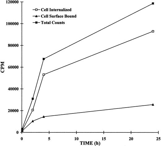 Fig. 2. Internalization of radiometal conjugated J591. cpm versus time for total (▪), internalized (□), and surface bound (▴) [111In]J591 as shown for LNCaP cells. Experiments were conducted as described in “Materials and Methods.”