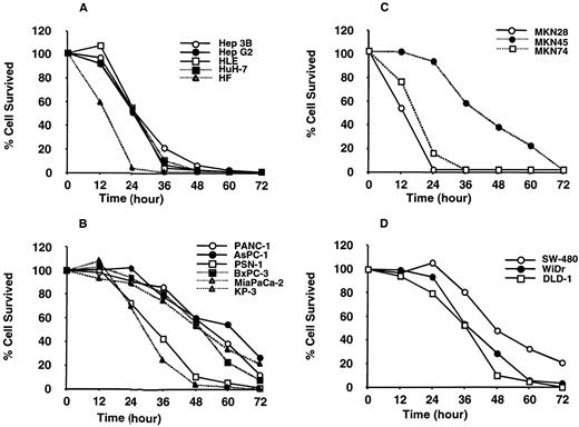Fig. 2. Cell survival during extreme nutrient deprivation. Cells were prepared as described in Fig. 1<$REFLINK>. The cells were washed with PBS,and the medium was then changed to a medium without the nutrient factors and serum. A, liver cancer cell lines and normal fibroblasts. B, pancreatic cancer. C,stomach cancer. D, colon cancer. Each point is the mean of data from duplicate experiments. The number of cells/well at the start of starvation was considered to be 100%.